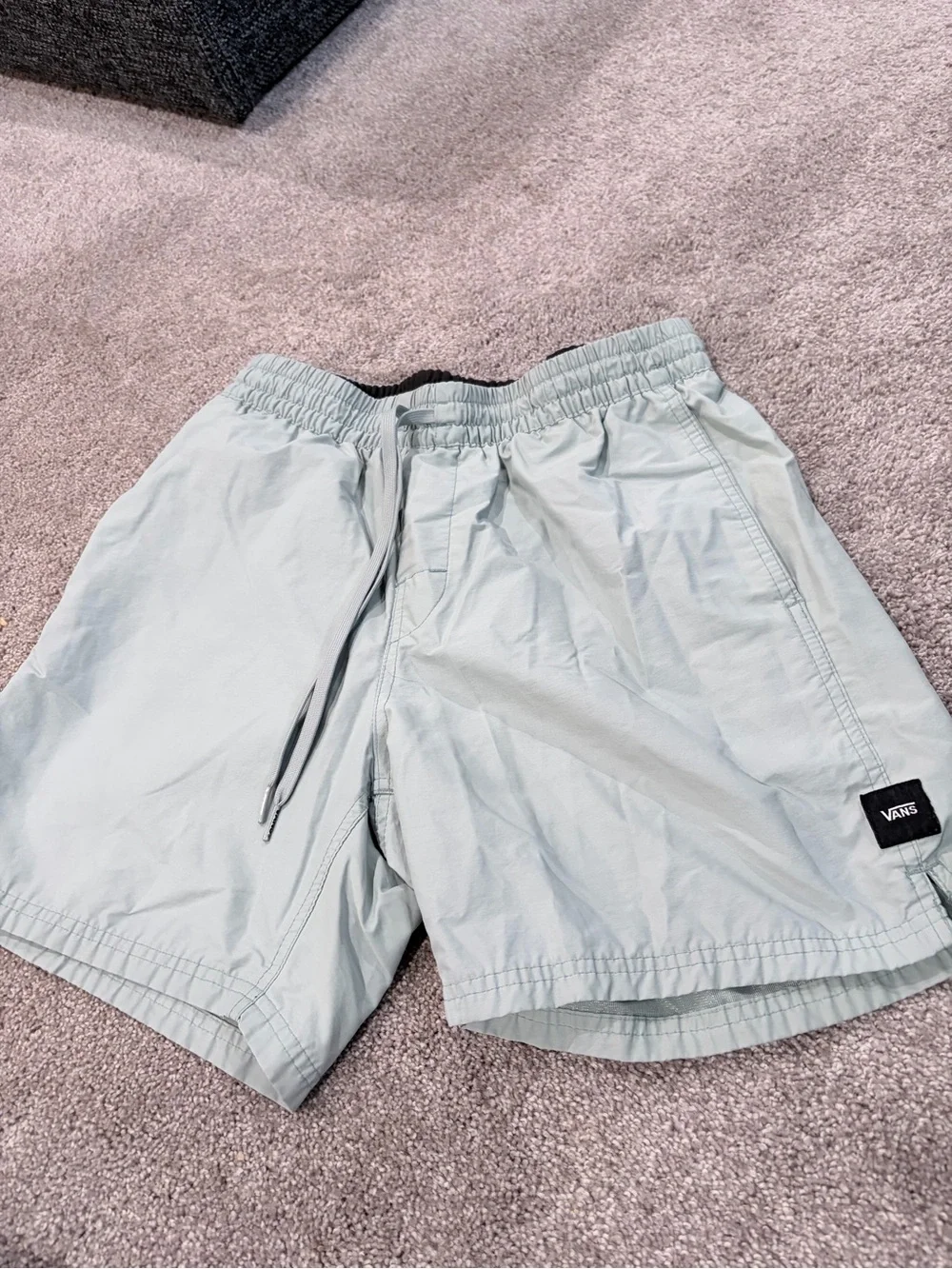 Vans Light Sage Green Men’s Swim Trunks